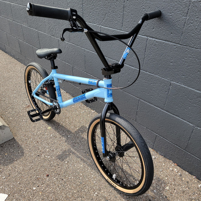 Hoffman Taj Custom Bike