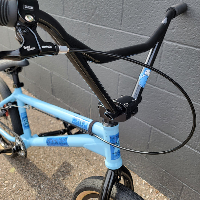Hoffman Taj Custom Bike
