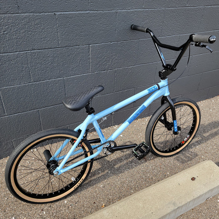 Hoffman Taj Custom Bike