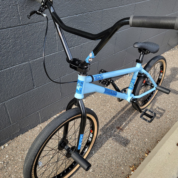 Hoffman Taj Custom Bike