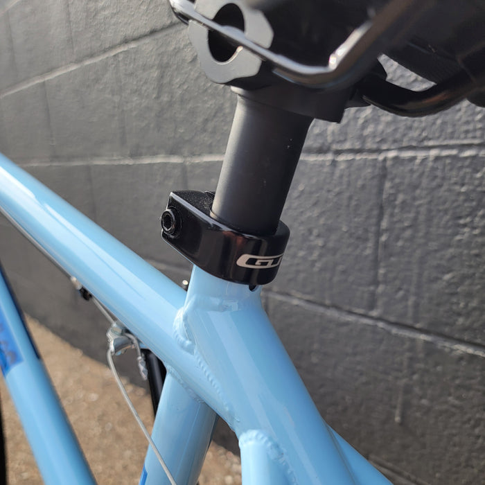 Hoffman Taj Custom Bike