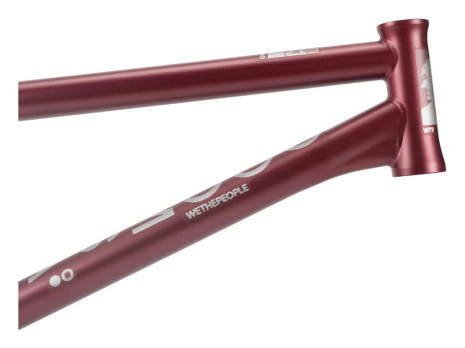 WeThePeople Doomsayer Frame
