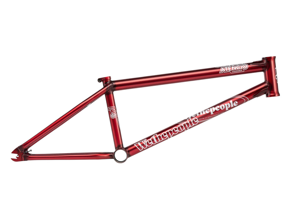 WeThePeople Trigger Frame