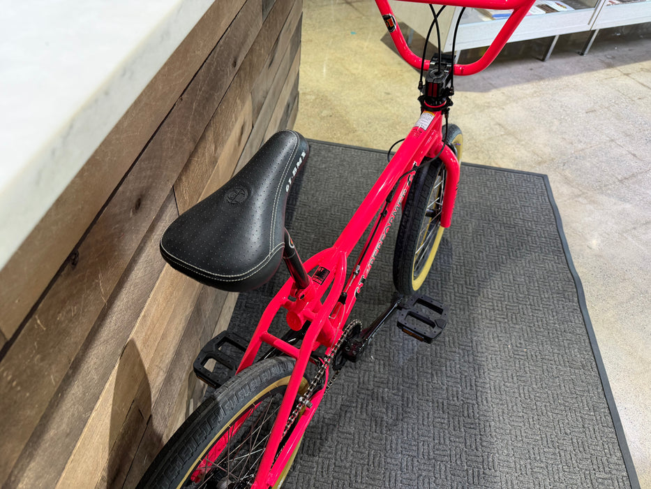 GT Bikes Pro Performer Bike (Rochester Collection)