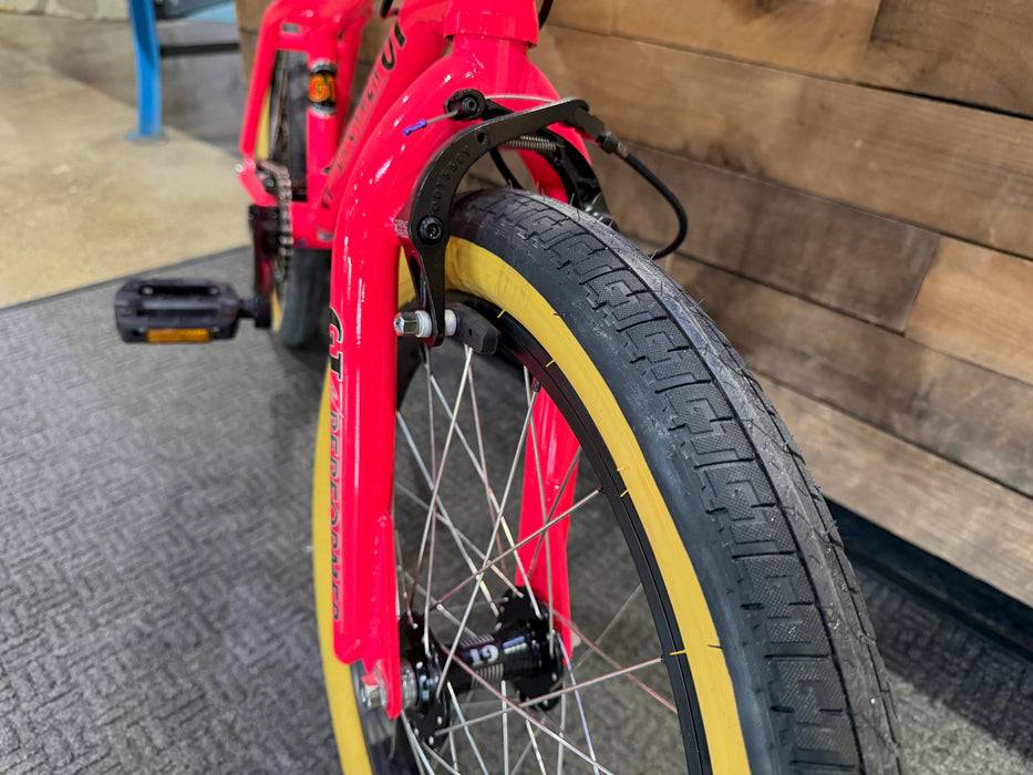GT Bikes Pro Performer Bike (Rochester Collection)