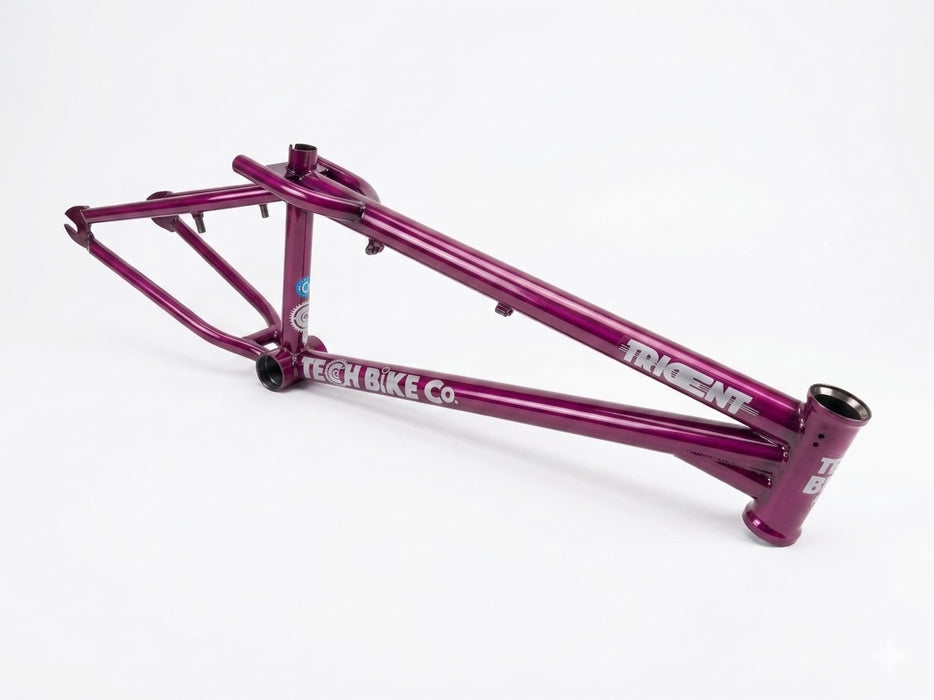 Tech Bike Co. Trident Frame