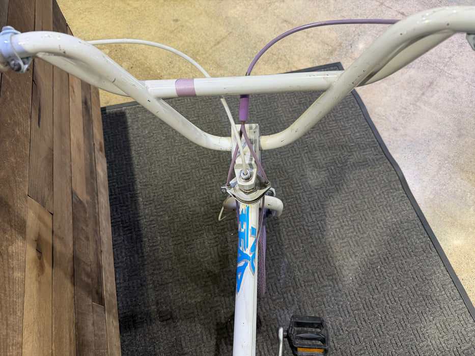 1988 Dyno Detour