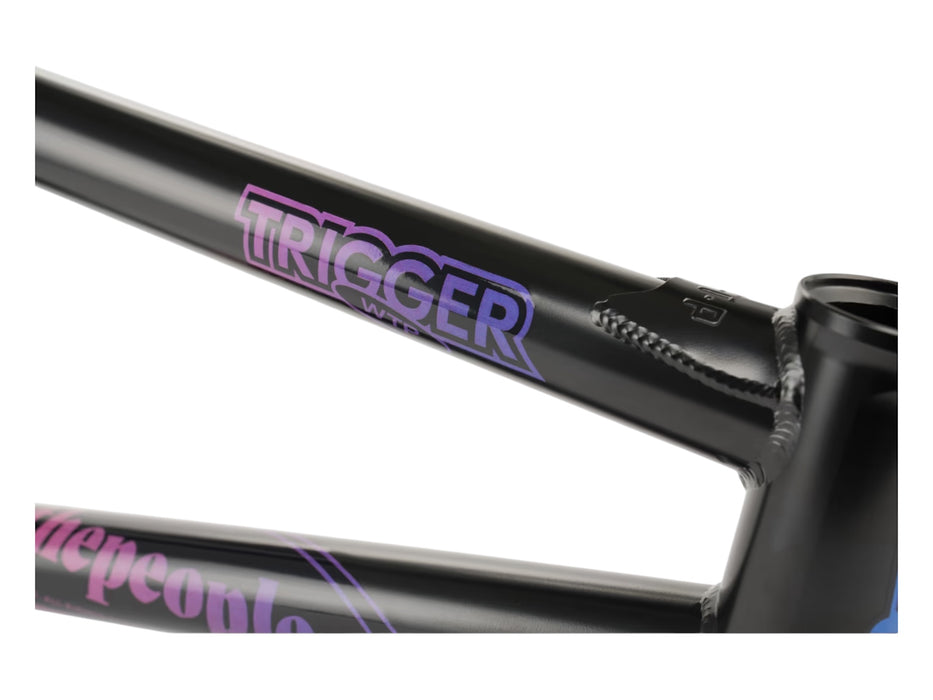 WeThePeople Trigger Frame