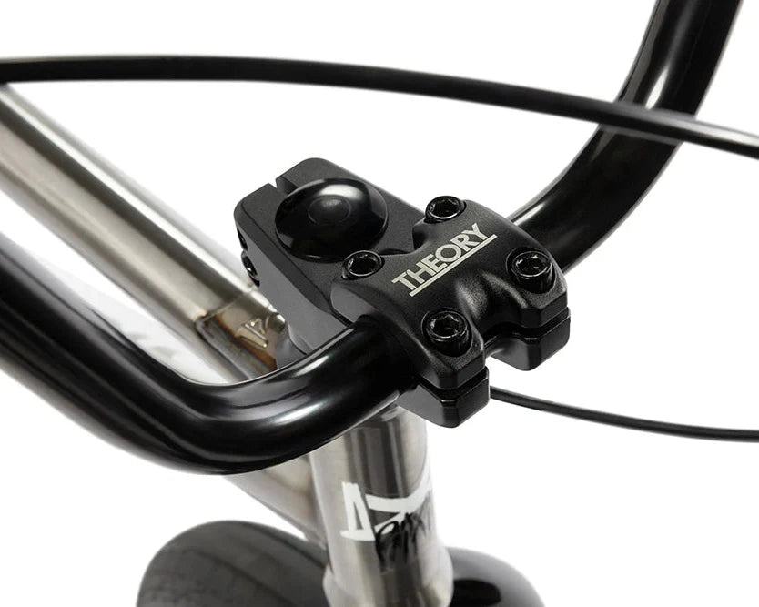 Rixin Express XL Bike