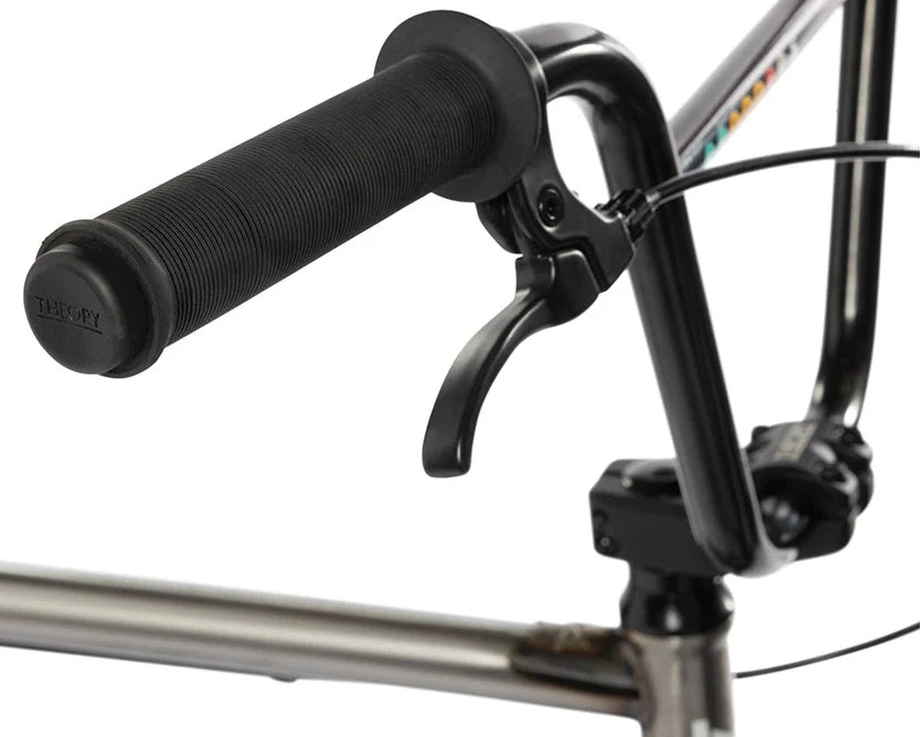 Rixin Express XL Bike