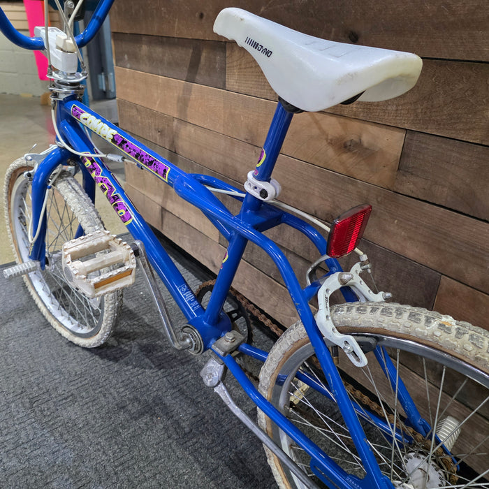 1989 Dyno Compe Survivor