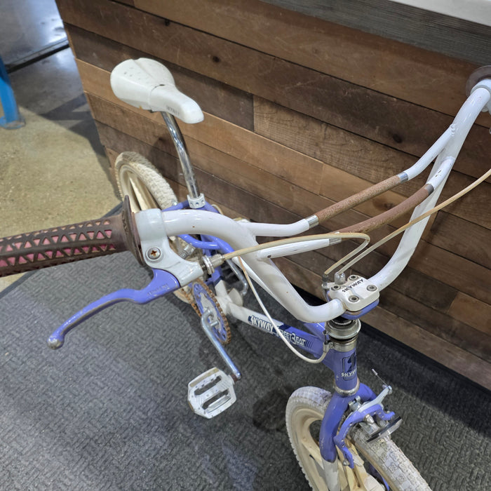 1987 Skyway Street Beat Survivor