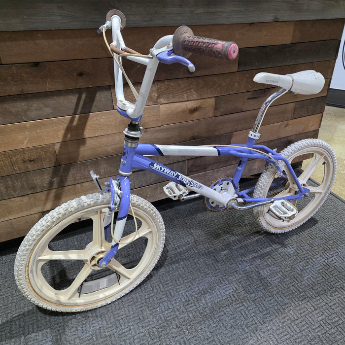 1987 Skyway Street Beat Survivor