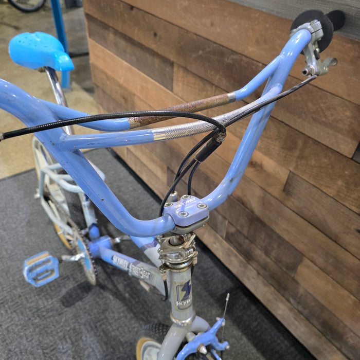 1987 Skyway Streetbeat (Gray / Blue)