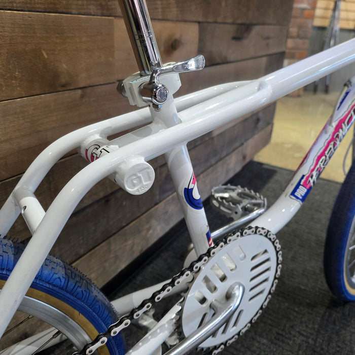 1987 GT Pro Performer Survivor