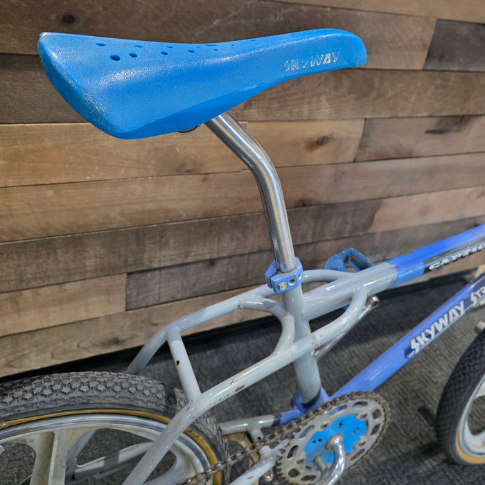 1987 Skyway Streetbeat (Gray / Blue)