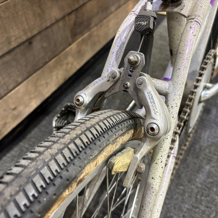 1990 Haro Master Bashguard