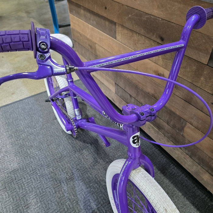 Sunday Aaron Ross Grape Soda Bike
