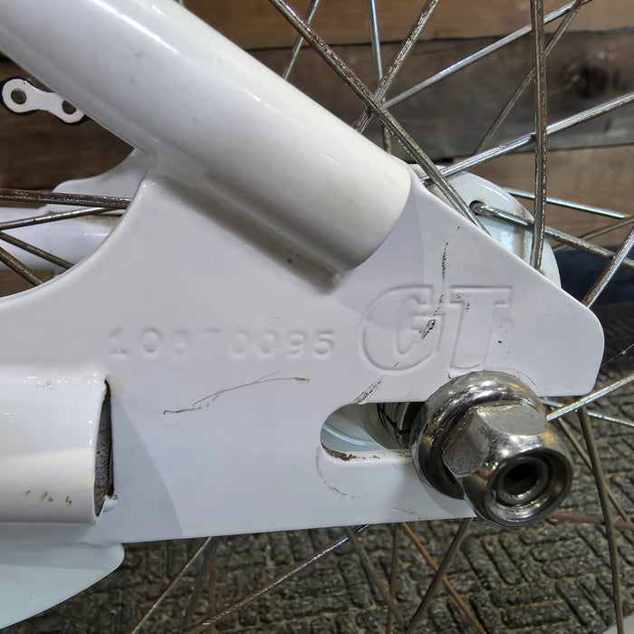 1987 GT Pro Performer Survivor