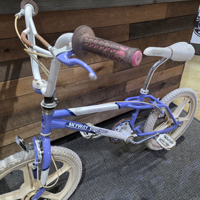 1987 Skyway Street Beat Survivor