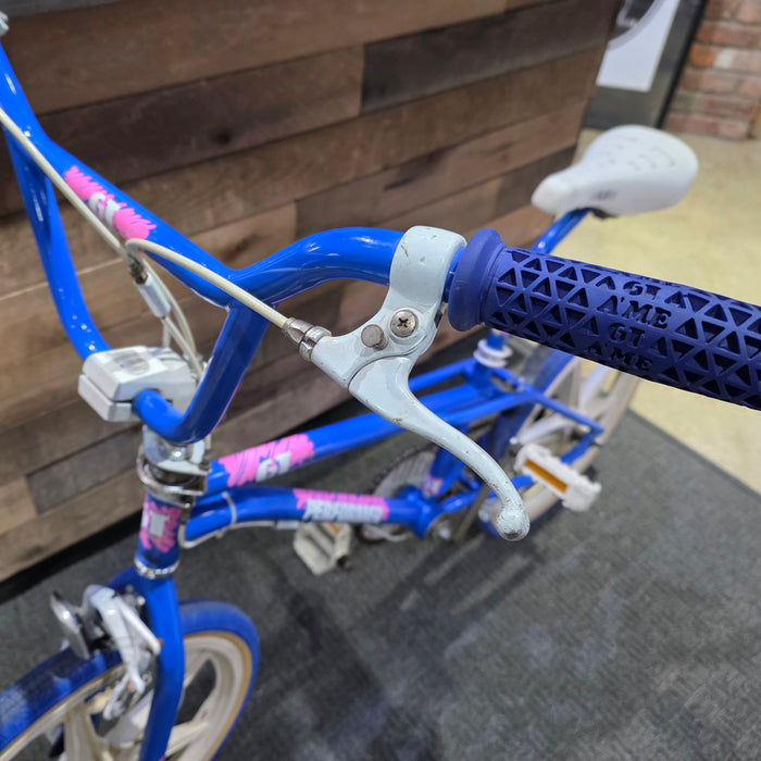 1988 GT Performer Survivor (Blue)