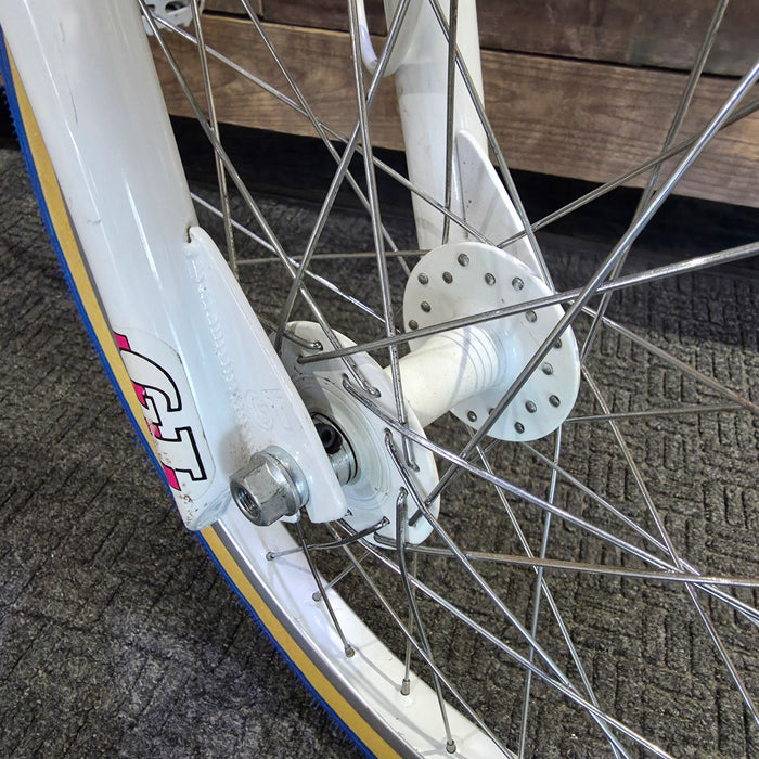 1987 GT Pro Performer Survivor