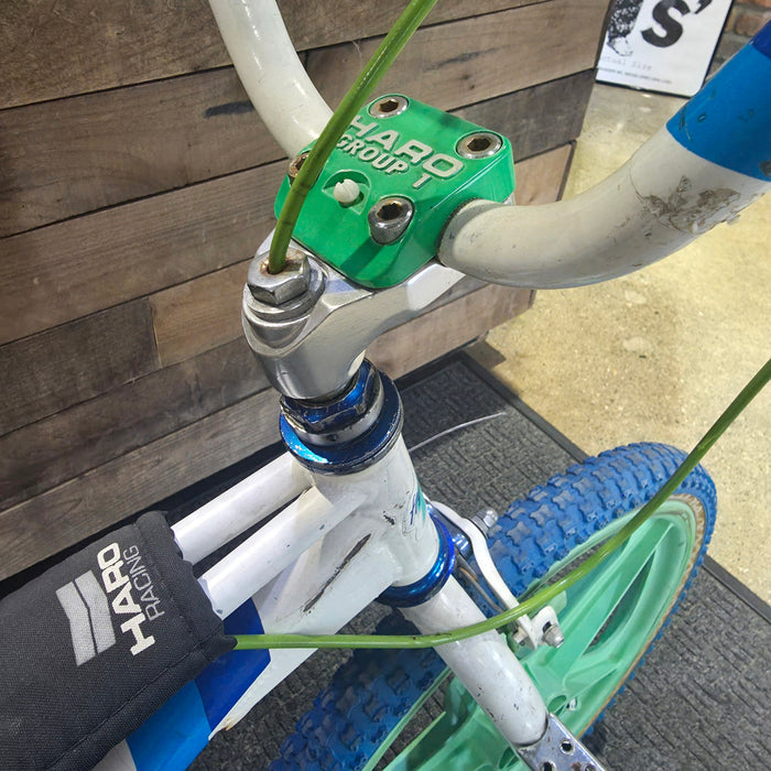 1985 Haro Master