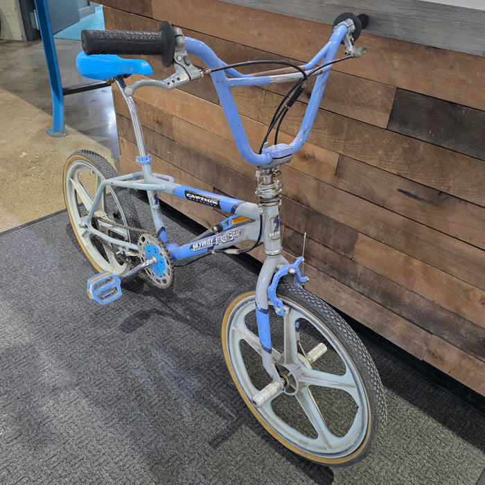 1987 Skyway Streetbeat (Gray / Blue)
