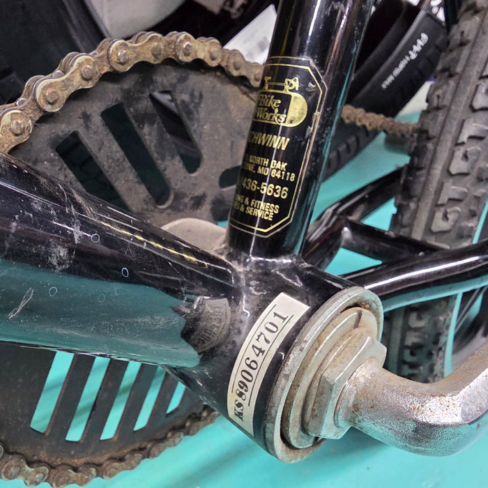 1989 GT Performer Survivor