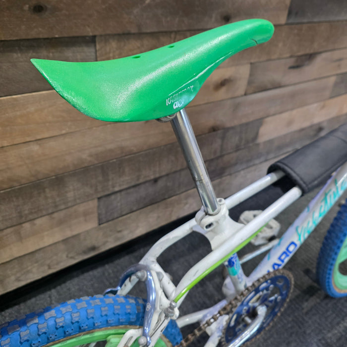 1985 Haro Master