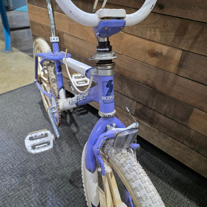 1987 Skyway Street Beat Survivor