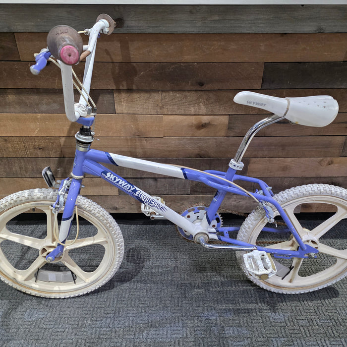 1987 Skyway Street Beat Survivor