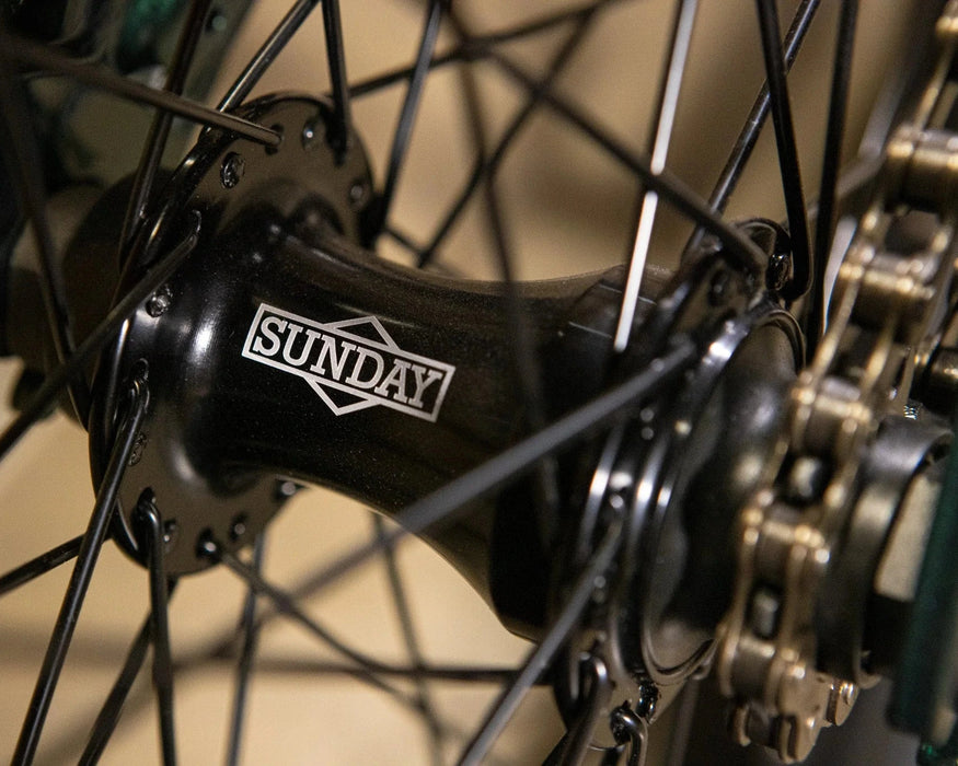 Sunday Forecaster Brett Silva Signature Bike