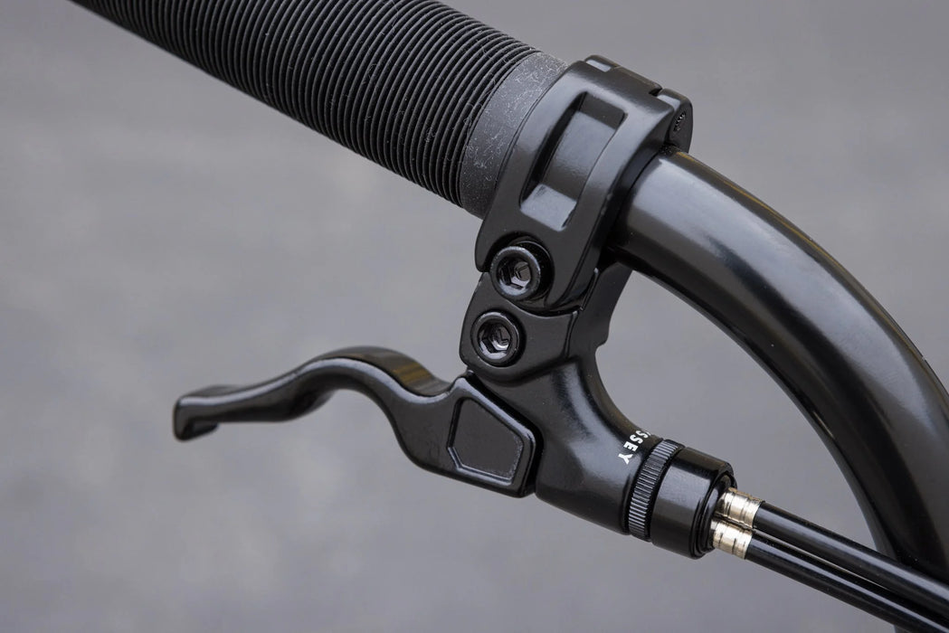 Sunday Forecaster Park Bike (Maca Perez Grasset Signature)