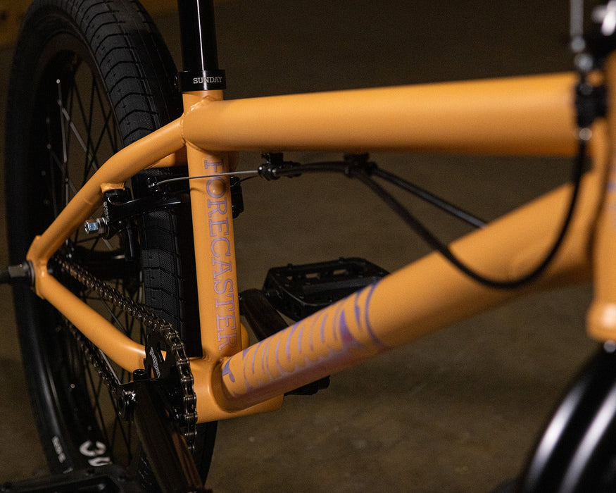 Sunday Forecaster Maca Perez Grasset Signature Park Bike