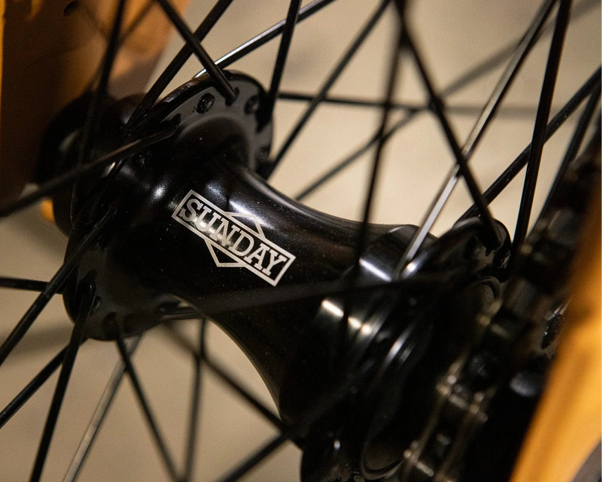 Sunday Forecaster Maca Perez Grasset Signature Park Bike
