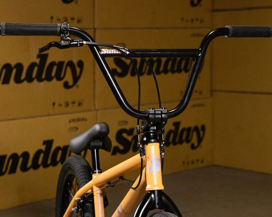 Sunday Forecaster Maca Perez Grasset Signature Park Bike