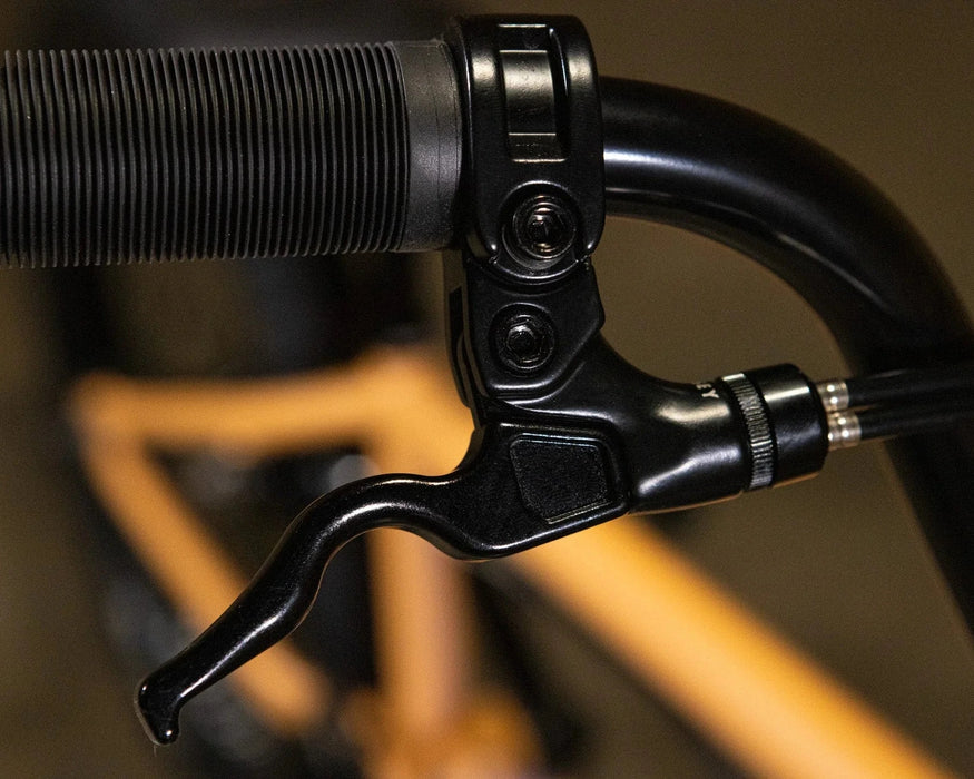 Sunday Forecaster Maca Perez Grasset Signature Park Bike