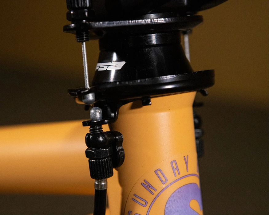 Sunday Forecaster Maca Perez Grasset Signature Park Bike