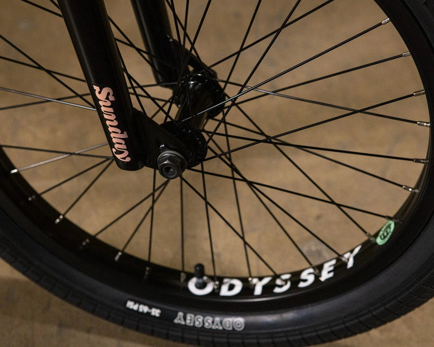 Sunday Forecaster Maca Perez Grasset Signature Park Bike