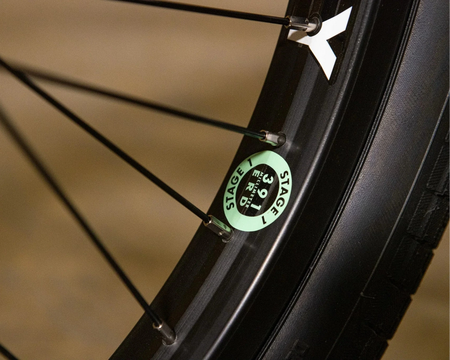 Sunday Forecaster Maca Perez Grasset Signature Park Bike
