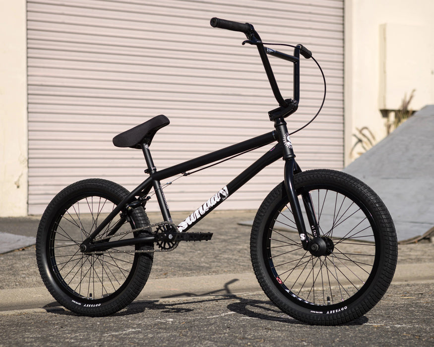 Sunday Wavelength Gary Young Signature Bike