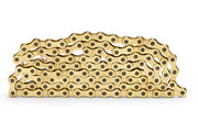 Theory 410 Chain Gold