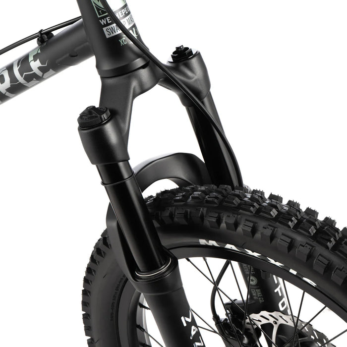 We The People Swampmaster Bike