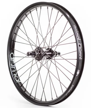 Bmx clearance cassette wheel