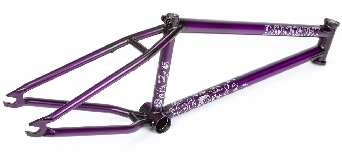 BSD Raider Frame