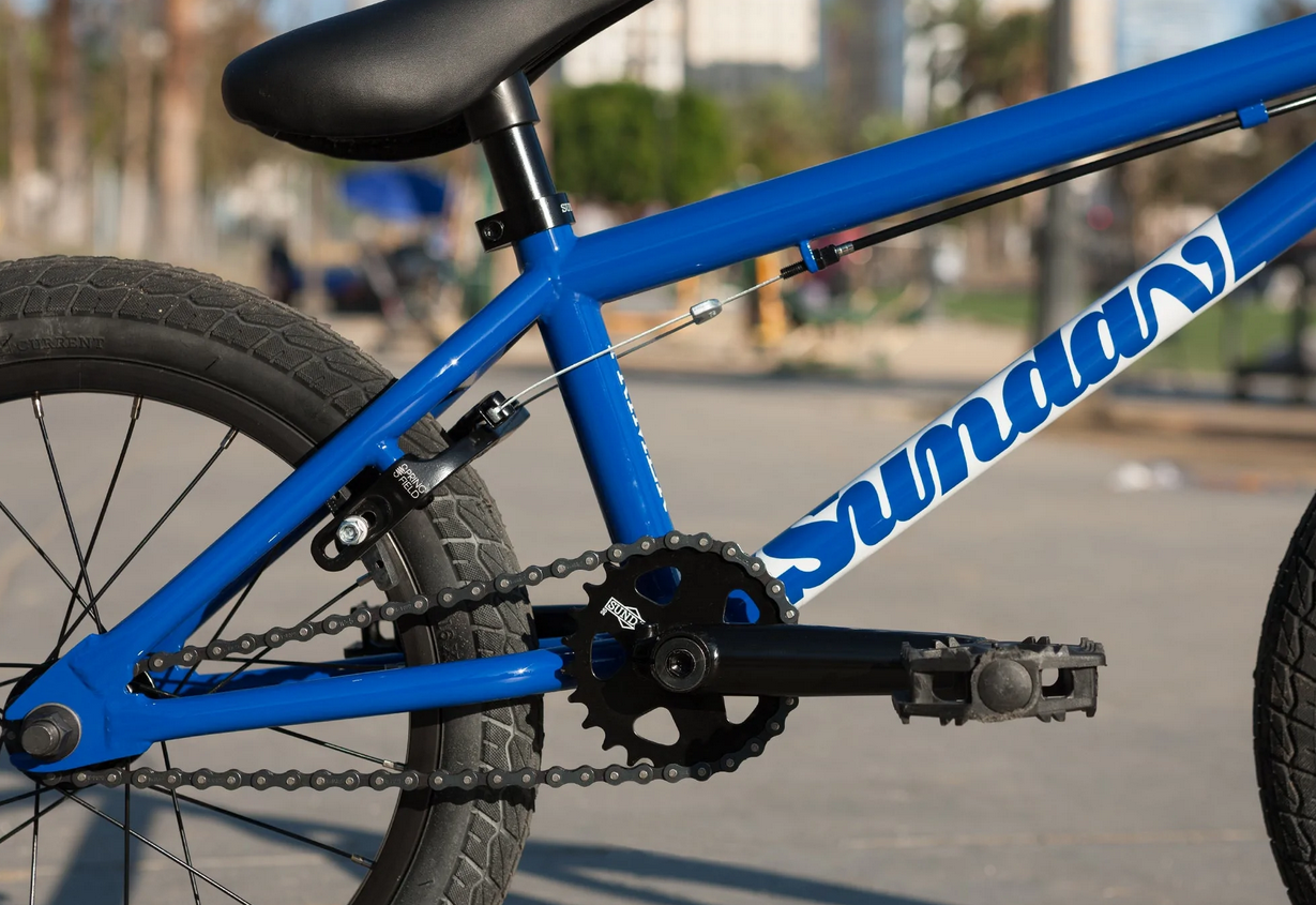 Sunday primer online 16